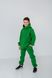 Дитячий теплий спортивний костюм на флісі унісекс зелений tevi-1520 фото 11